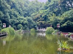 -忠山公园