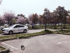 -无忧学车·大众驾校(长宁校区)