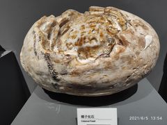 -重庆自然博物馆(新馆)