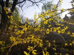 -山东师范大学(千佛山校区)