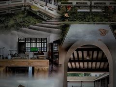 -长洲岛