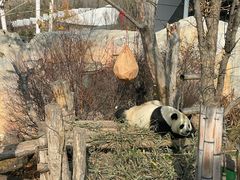 -青藏高原野生动物园