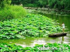 -紫竹院公园冰场