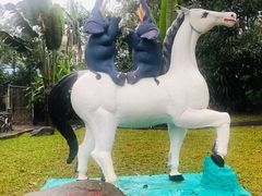 -瑞丽独树成林风景区