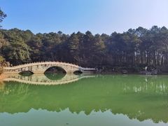 -铁山坪森林公园