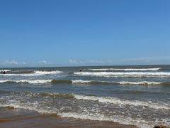 -日照海滨国家森林公园