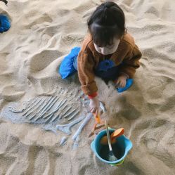 点击看大图 -恐龙探索乐园(磁器口店)