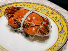 -新光酒家·河豚·海鲜·蟹料理(浦东店)