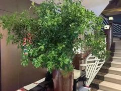 -顺峰(农展馆店)