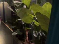 -涟LIAN·泰式按摩·MASSAGE·SPA(华强北店)