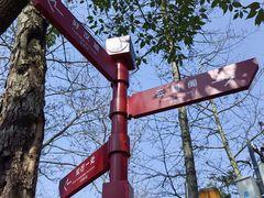 -云碧峰国家森林公园