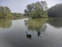-大湾区中央湿地公园