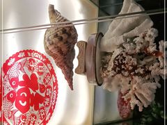 -春润大地海南椰子鸡(沙井京基百纳广场店)