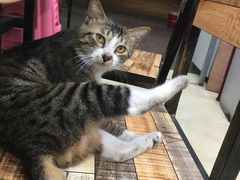 -玉椰林甜品店(创始店)