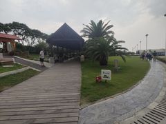 -碧海金沙