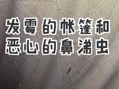 -前小桔亲子创意农场·草莓采摘·露营烧烤