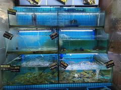 -老东镇啤酒屋海鲜加工·蒸汽海鲜·海鲜烧烤(台东店)