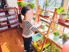 -伊顿幼儿园(棕榈泉校园)