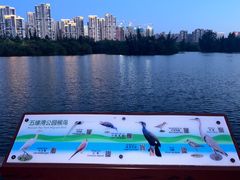 -五缘湾湿地公园