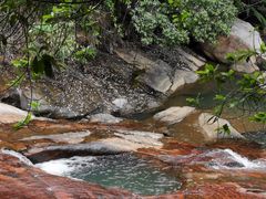 -广州白江湖森林公园