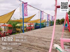 -长白岛森林公园