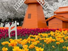 -苏州上方山国家森林公园