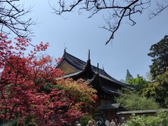 -龙华寺