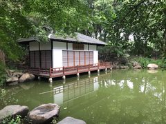 -新洲生态园