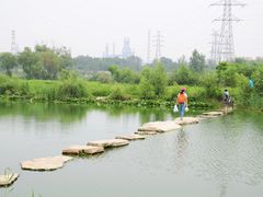 -永定河休闲森林公园