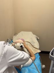 -上海玫瑰医疗美容医院