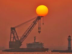 -上海吴淞炮台湾国家湿地公园