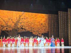 -合肥大剧院