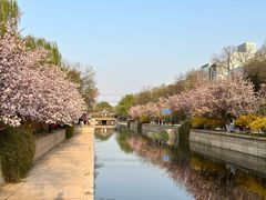 -元大都城垣遗址公园