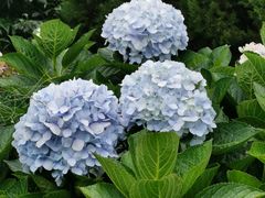 -天龙八部武侠城