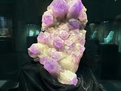 -中华赏石园