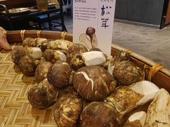 -滇野云南野生菌餐厅(陕西南路店)