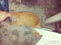 -清真·白家牛肉罩火烧老店(育才街店)