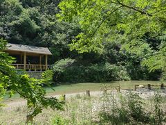 -郧西五龙河风景区