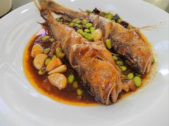 -苏启渔港(云南北路店)