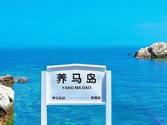 -养马岛旅游度假区