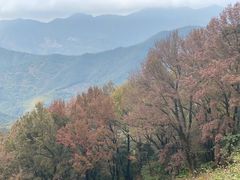 -广州市石门国家森林公园