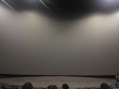 -金逸影城(明发IMAX店)