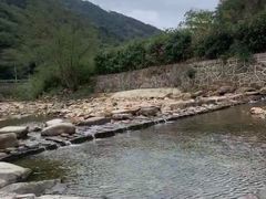 -北仑森林植物园