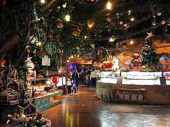 -杭州开元森泊度假乐园