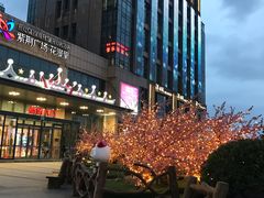 -紫荆广场·花漫里