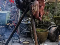 -青城甲(青城山店)