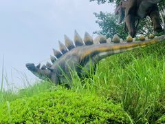 -自贡恐龙博物馆