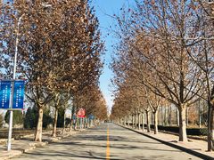 -首都师范大学(良乡校区)