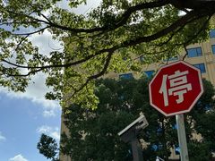 -上海圣淘沙万怡酒店