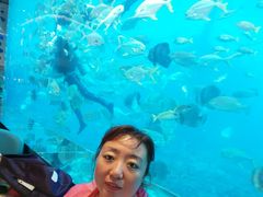 -亚龙湾海底世界